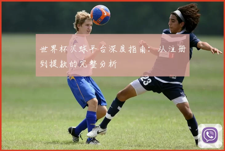 世界杯买球平台深度指南：从注册到提款的完整分析