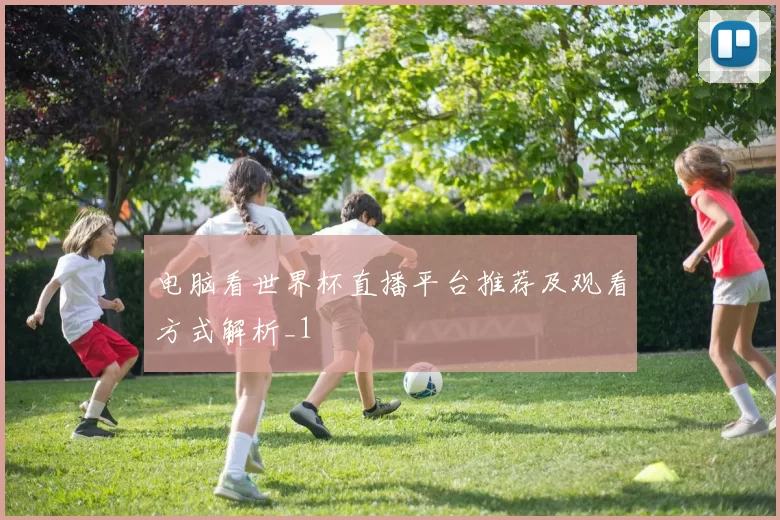 电脑看世界杯直播平台推荐及观看方式解析_1