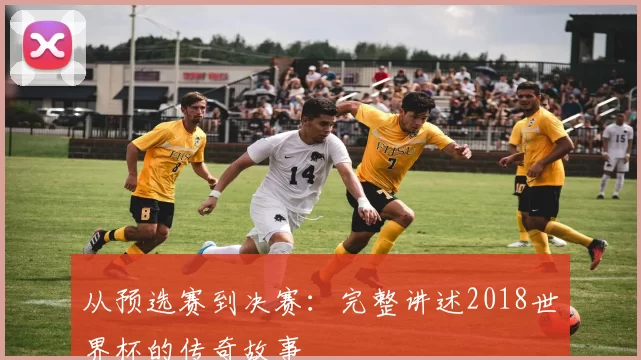 从预选赛到决赛：完整讲述2018世界杯的传奇故事