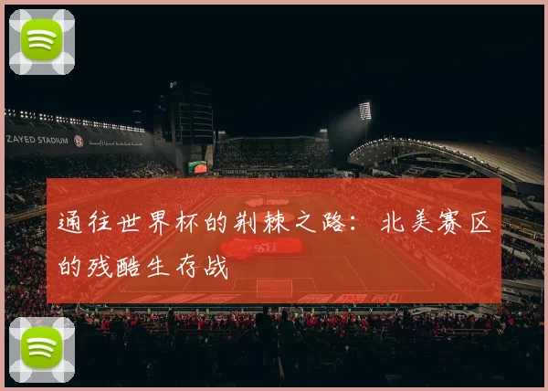 通往世界杯的荆棘之路：北美赛区的残酷生存战