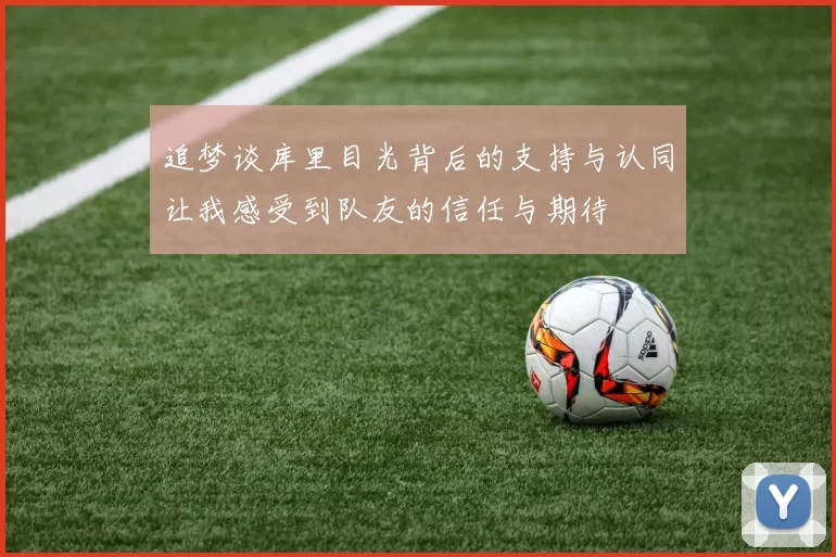 追梦谈库里目光背后的支持与认同让我感受到队友的信任与期待