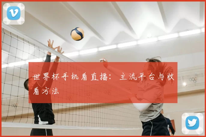 世界杯手机看直播：主流平台与收看方法