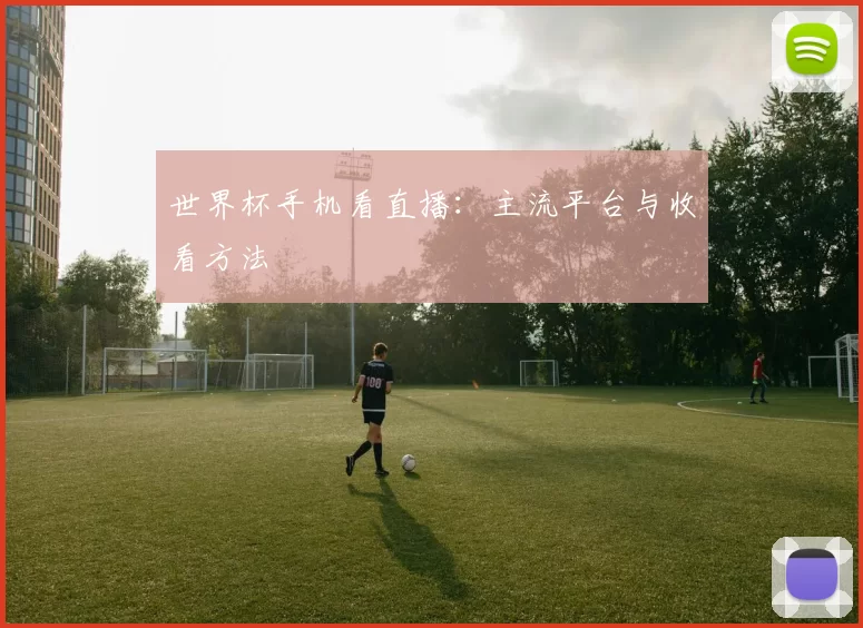 世界杯手机看直播:主流平台与收看方法
