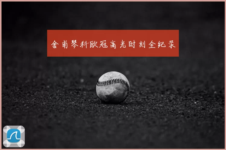 舍甫琴科欧冠高光时刻全纪录