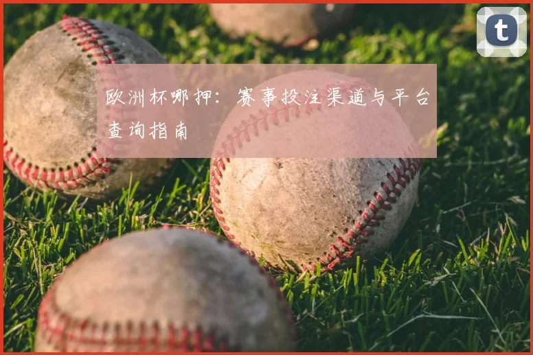 欧洲杯哪押：赛事投注渠道与平台查询指南