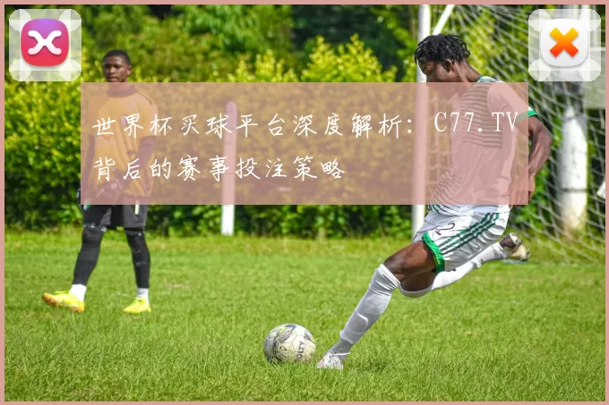 世界杯买球平台深度解析:C77.TV背后的赛事投注策略
