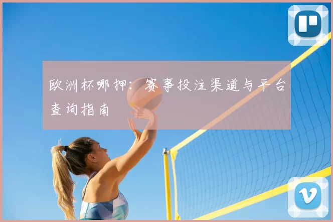欧洲杯哪押：赛事投注渠道与平台查询指南