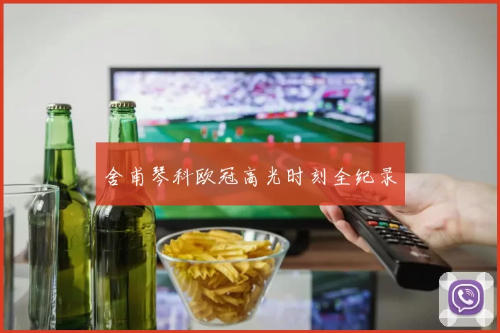 舍甫琴科欧冠高光时刻全纪录