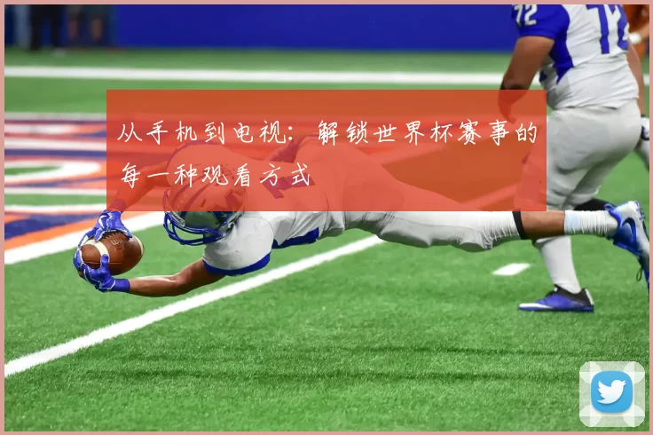 从手机到电视:解锁世界杯赛事的每一种观看方式